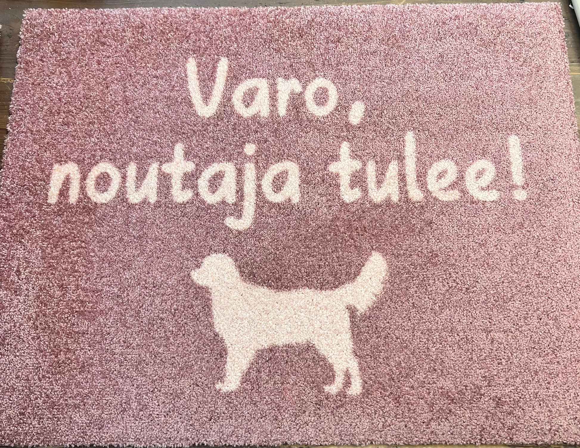 Karva-apurilla saat kynnysmaton helposti huollettua