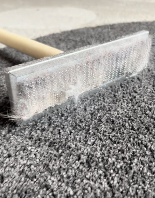 Karva-apuri, Carpet care
