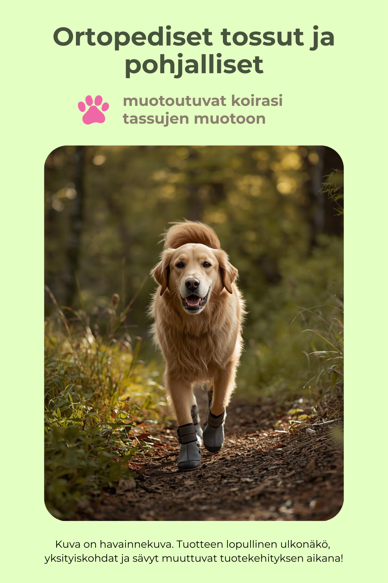 Tulossa keväällä 2026 - Uusi innovaatio lemmikkisi tassujen hoitoon